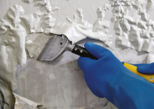 Paint & Varnish Remover