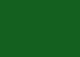 Green (Semi-Gloss)