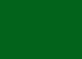 Landrover Green (High Gloss)